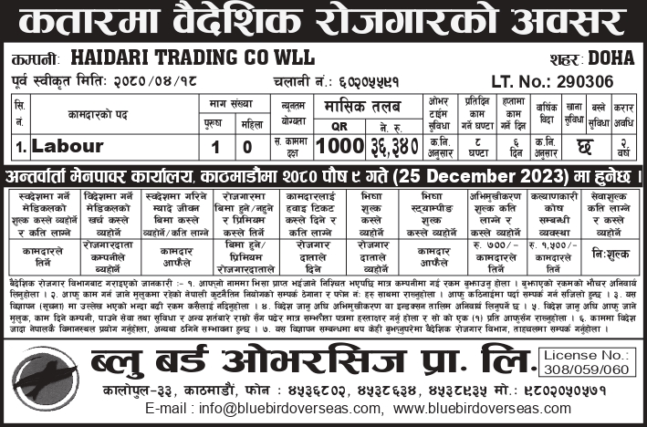 Newspaper Advertisement 3